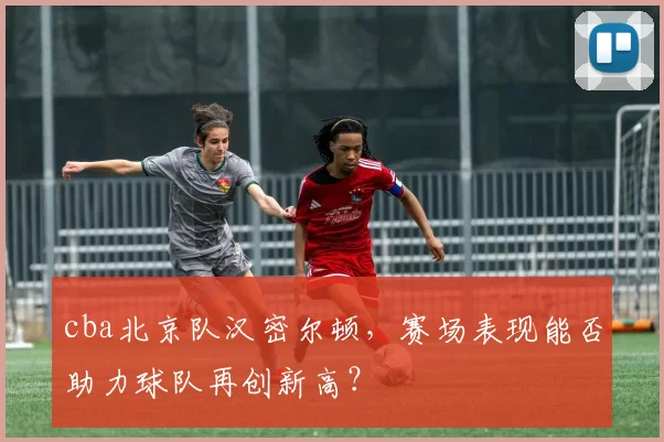 cba北京队汉密尔顿,赛场表现能否助力球队再创新高?