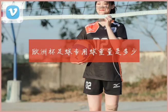 欧洲杯足球专用球重量是多少